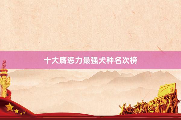 十大膺惩力最强犬种名次榜