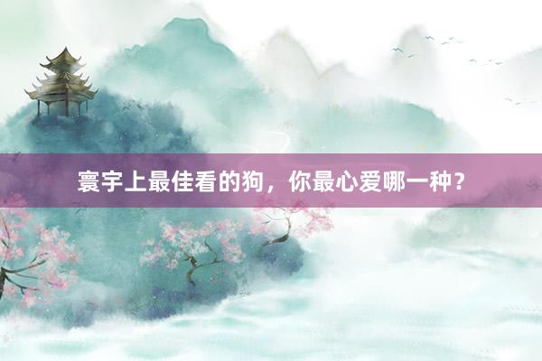 寰宇上最佳看的狗，你最心爱哪一种？