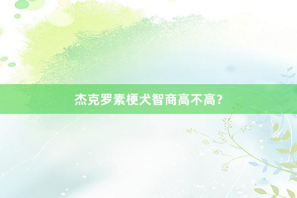 杰克罗素梗犬智商高不高？