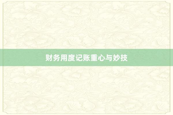 财务用度记账重心与妙技